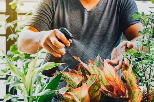 Waarom Nutrigrow Solutions kiest voor droge plantenvoeding