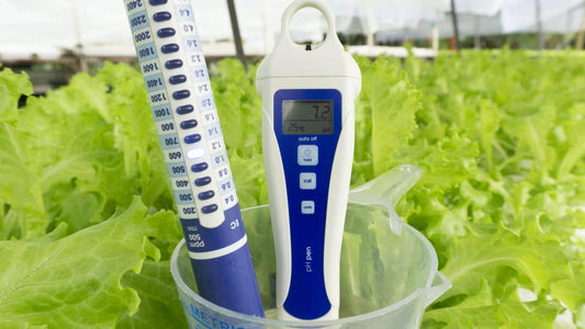 Begrijpen en Oplossen van pH Drift in Hydroponics en Voorraadtanks