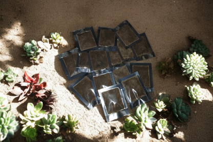 Living Soil